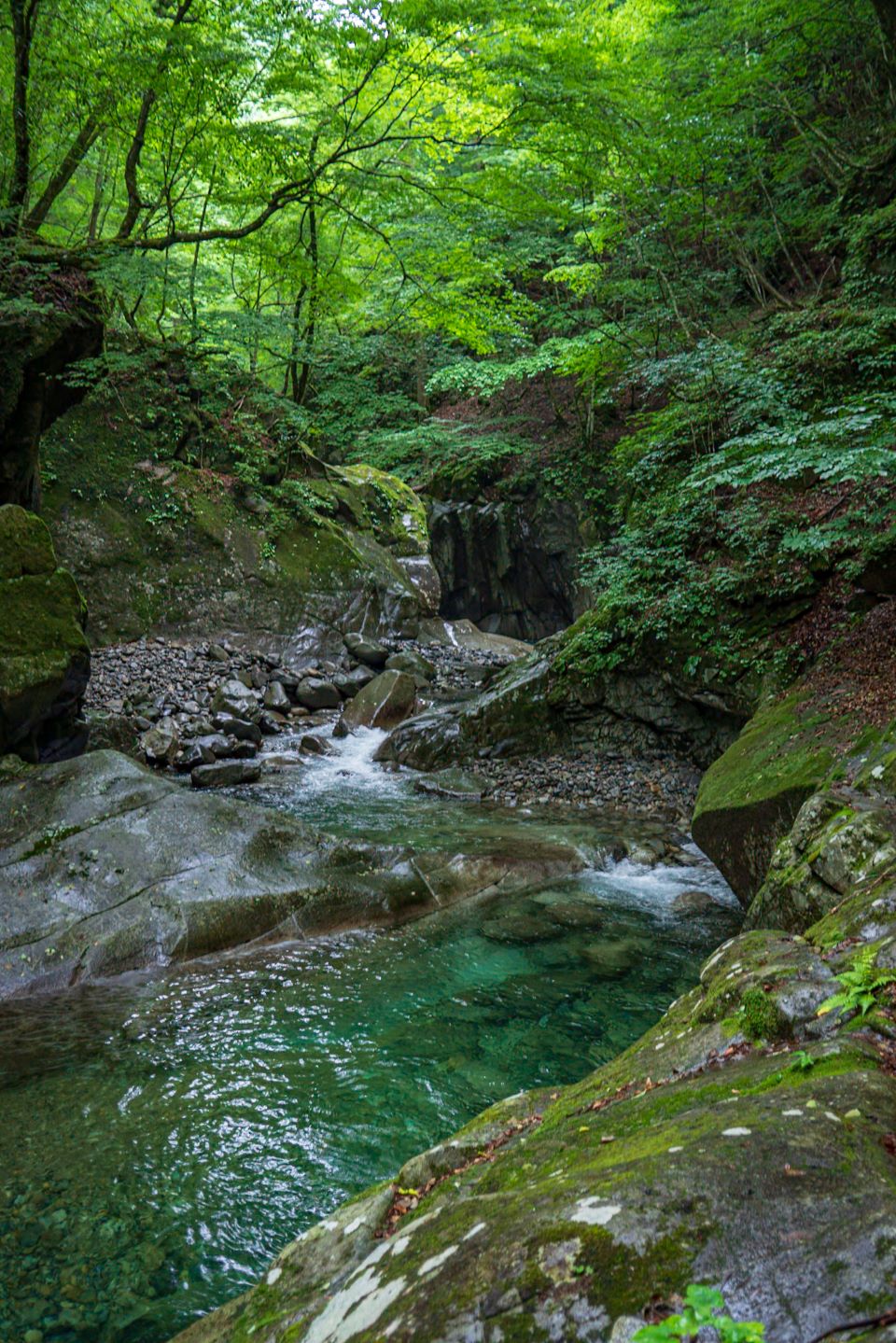 エメラルドグリーンの水の流れ