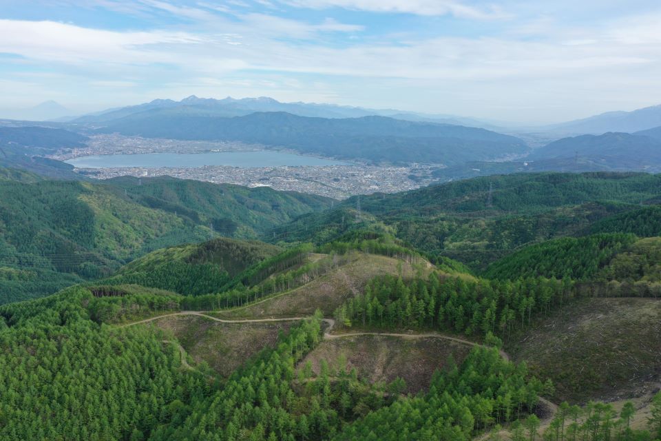 上空から見た森林