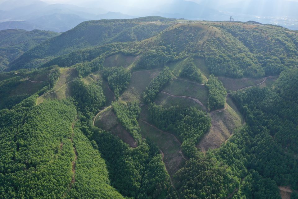 上空から見た森林