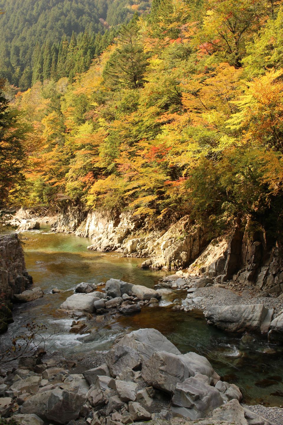 黄葉の渓谷