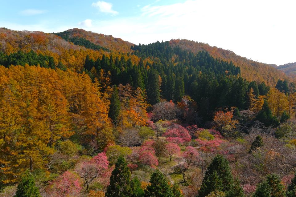 南展望台からの展望