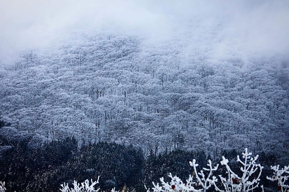雪化粧した比婆山