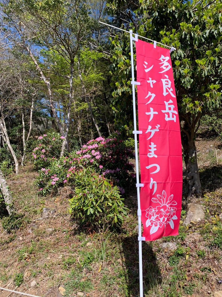 シャクナゲ祭りの幟