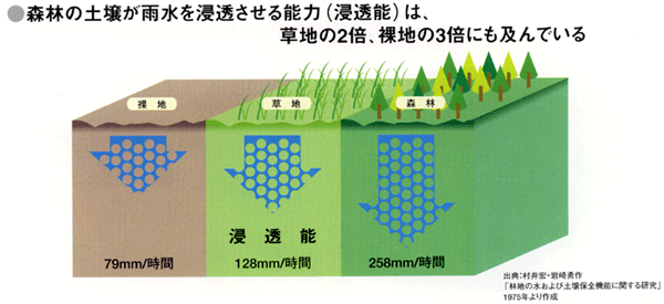森林の土壌が雨水を浸透させる能力は、草地の2倍、裸地の3倍にも及んでいる