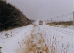 防雪保安林（北海道稚内市）