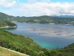 魚つき（愛媛県愛南町）