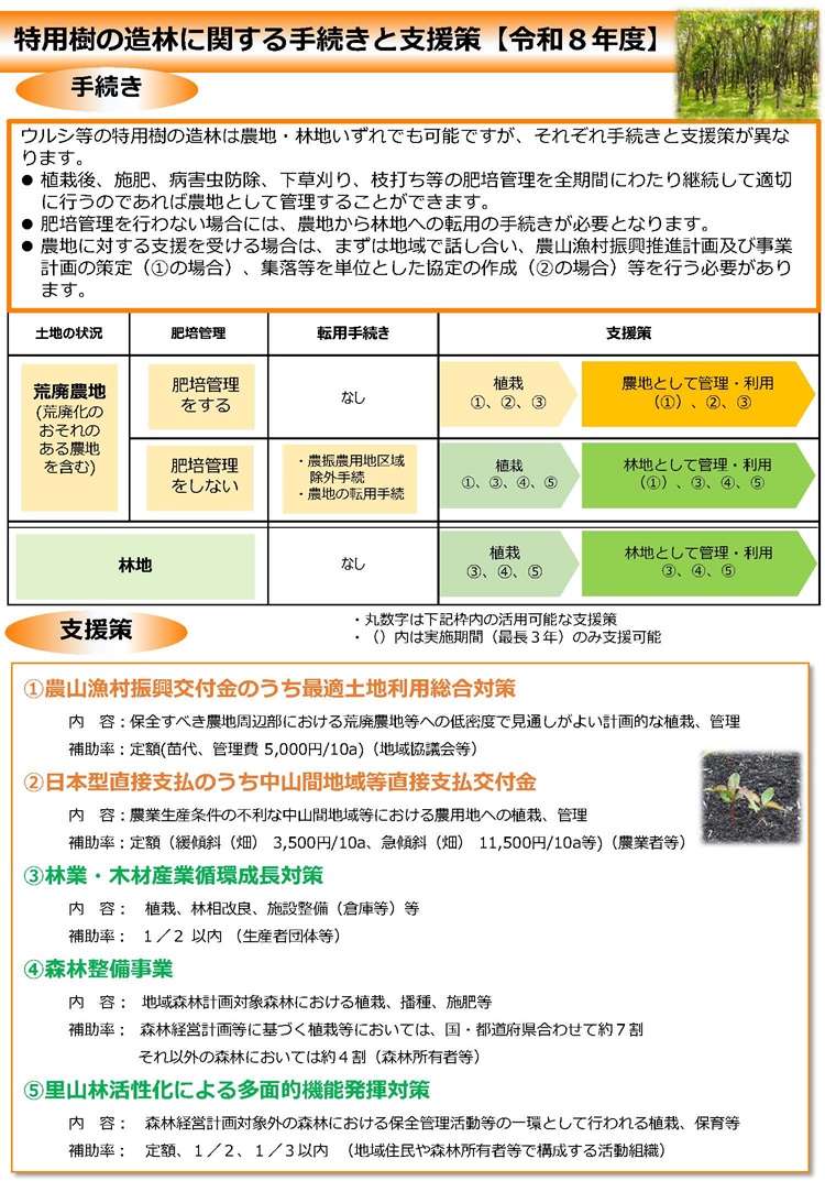 特用樹の造林に関する手続きと支援策