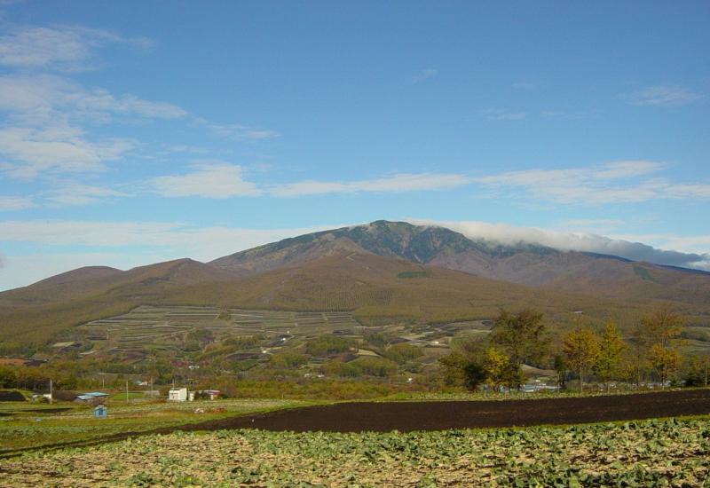 キャベツ畑と四阿山