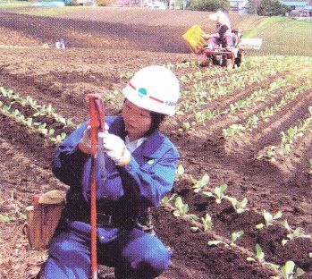 農地脇での巡検作業