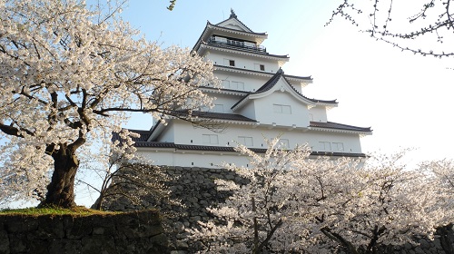 春を告げる鶴ヶ城(会津若松市)