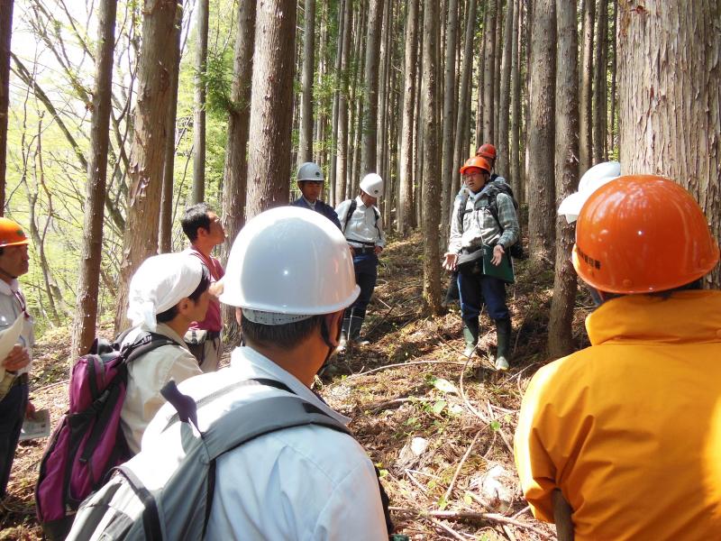 イヌワシ試験地検討