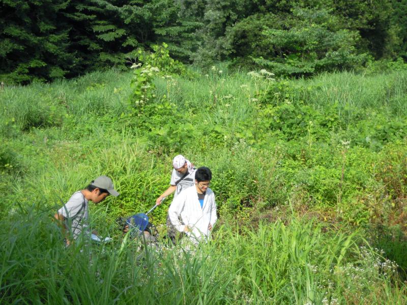 自然誌散策の様子