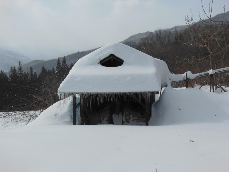 炭焼き小屋