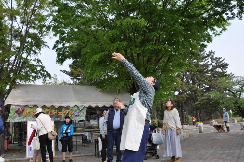 ロケットリーフの説明