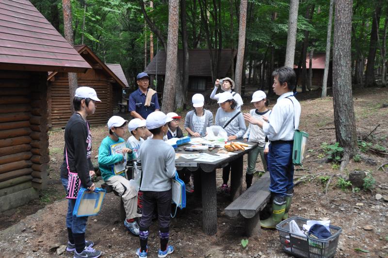 テーマ「樹木の種子」