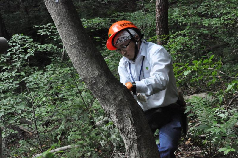 所長のお手本