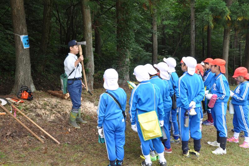 森の恵みと林業