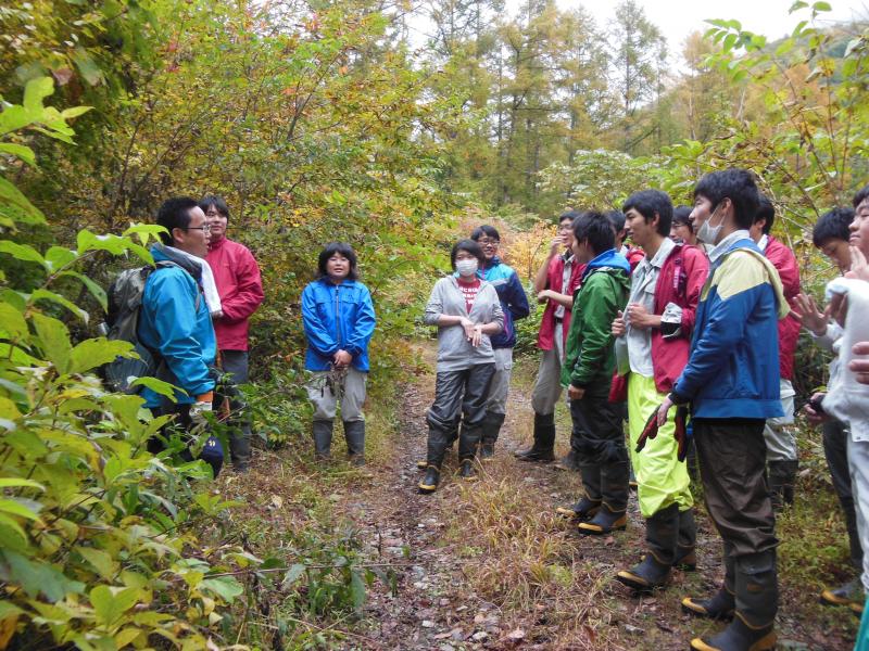 カラマツ試験地