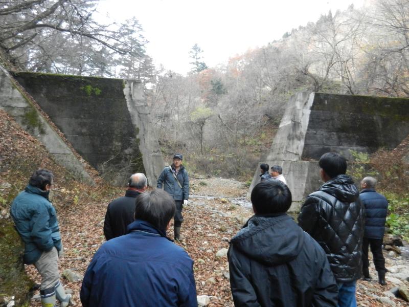 小出俣自然林復元試験地（カラマツ）の説明