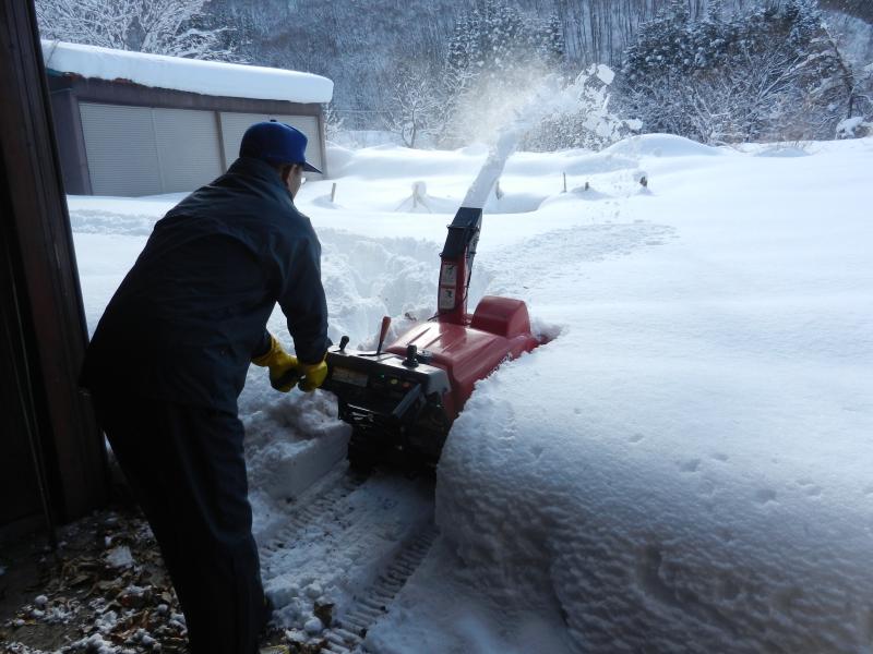 いきもの村の除雪