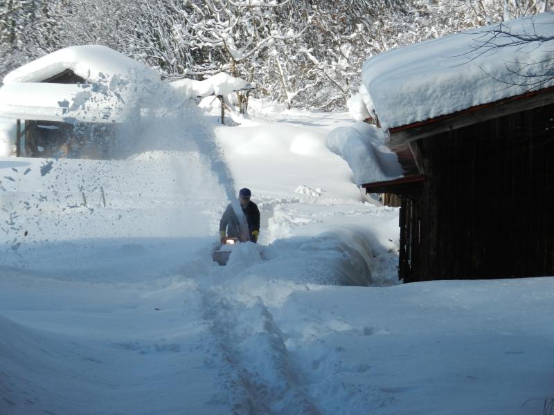 いきもの村除雪