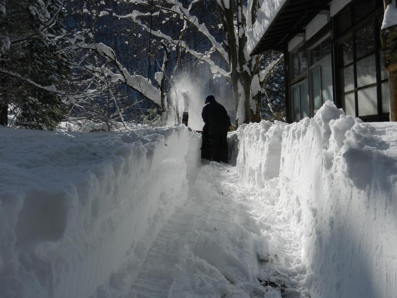 いきもの村除雪