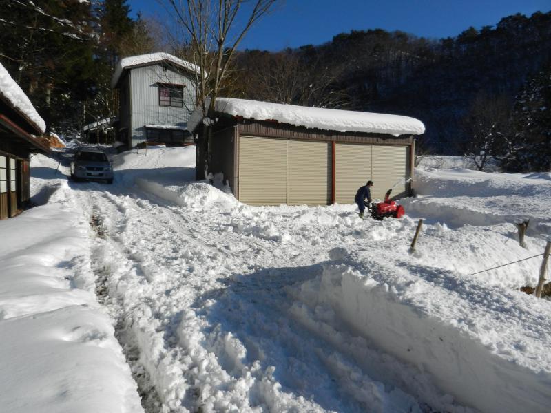 いきもの村除雪