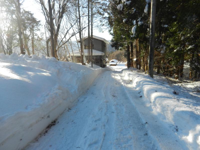 いきもの村除雪