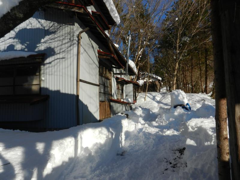 いきもの村除雪