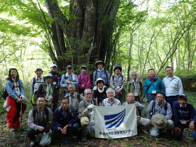 大カツラの前で記念撮影