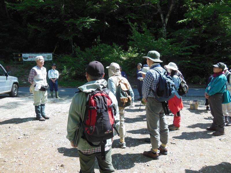 現地観察スタートです