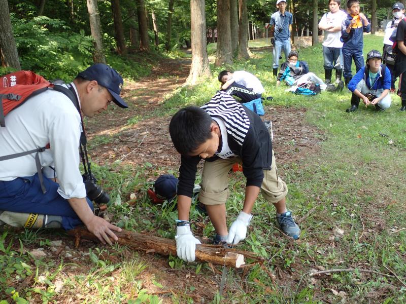 森の恵みと森のかけら　朝日ヶ丘中