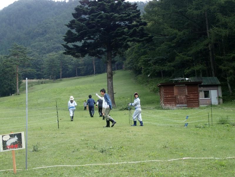 お宝を探せ