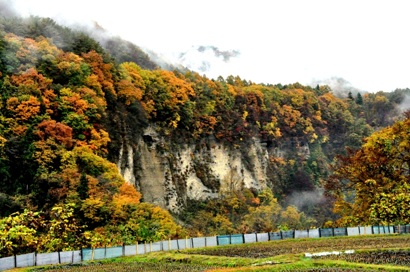 【写真】赤谷川右岸