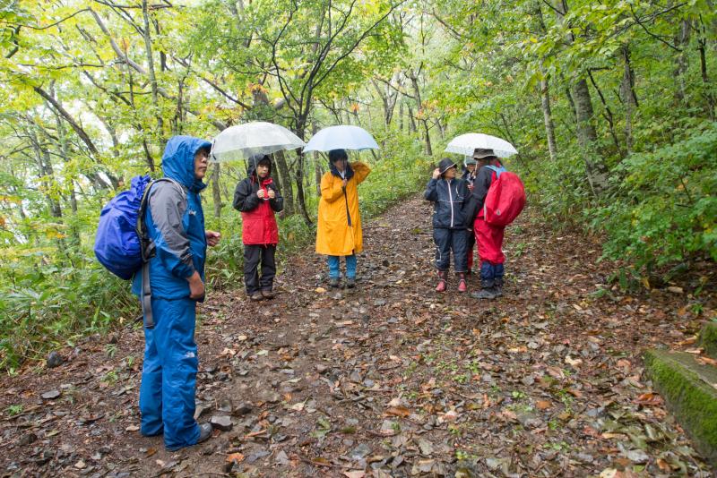 雨の中の観察会