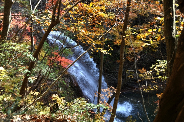 紅葉の滝