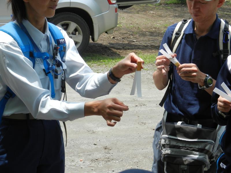 空飛ぶ種の模型作り