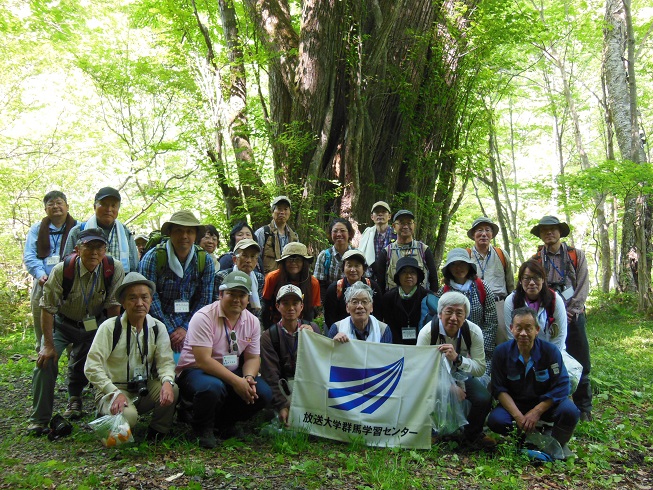 大カツラの前で記念撮影