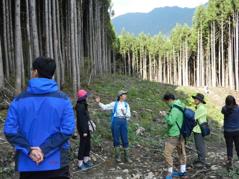 小出俣自然再生試験地