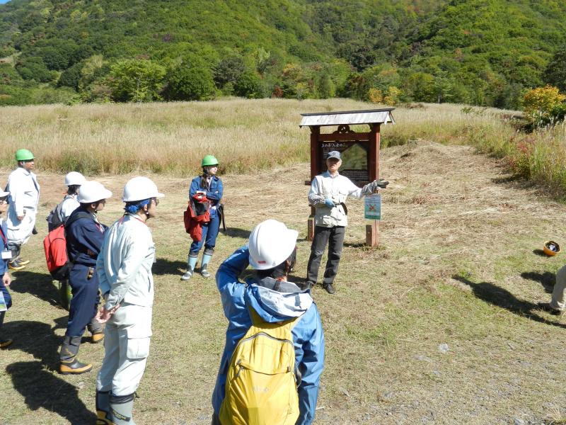 草地の復元