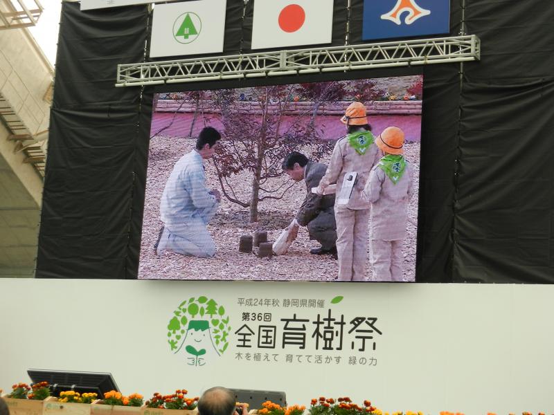 皇太子殿下施肥