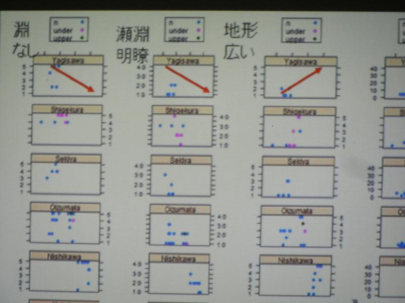 解析図