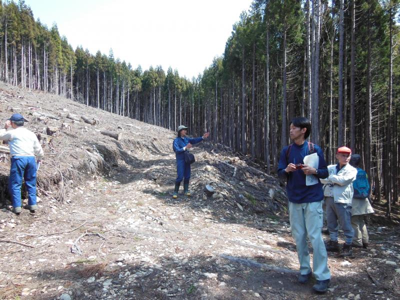 小出俣自然林復元試験地