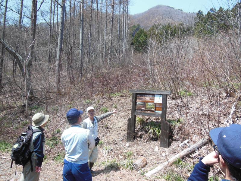 カラマツ試験地