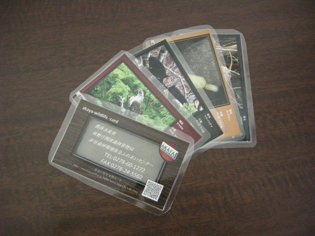 野生生物カード