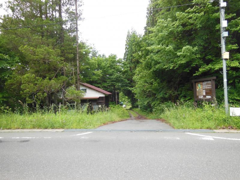 草が覆い茂るいきもの村入口