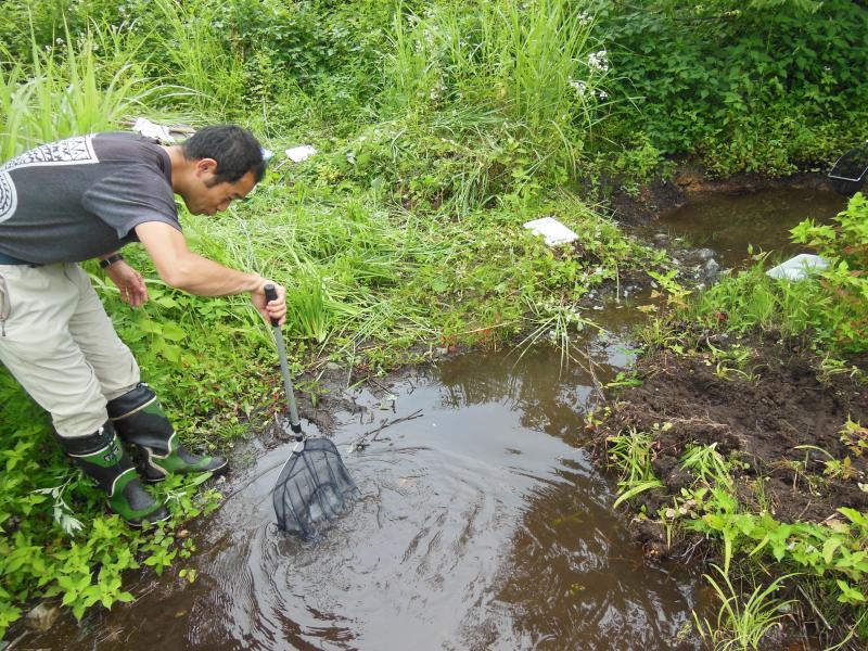 水生生物の生息状況調査