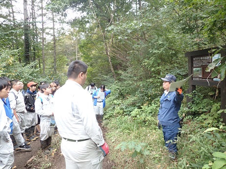 カラマツからの復元地