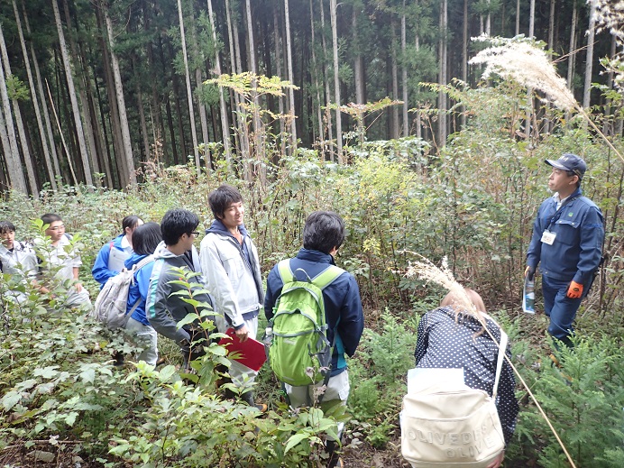 スギ林からの復元試験地