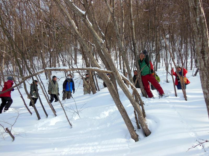 あの山は何ですか？